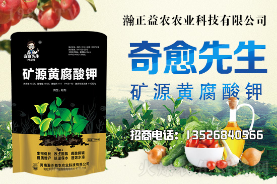 ˮr߀ϝqпgж:ǰˮr