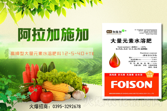 2月6日全國小麥報價!小麥價格突破1.57元/斤