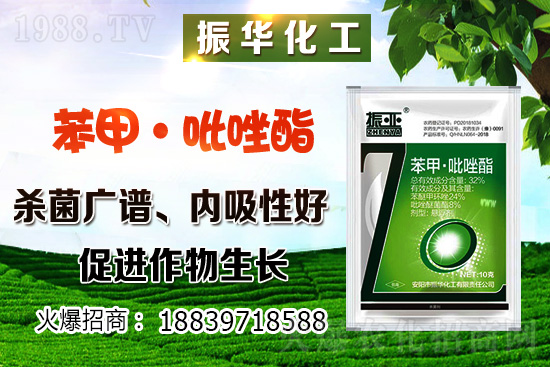 ԓôNֲNֲh(hun)Ҫ