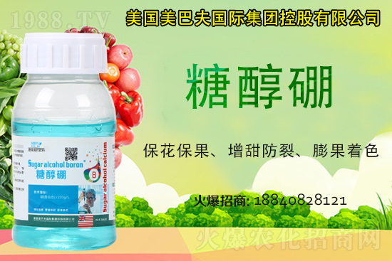 յȶX(qin)һ2021굾ȃr(ji)Ƿ߀(hu)q