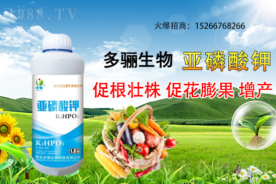 3·mϷNֲʲôˎЩˎķNֲǰٍX