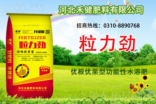 ̙C(j)Aӱ̽ɹs1988.TV(chung)