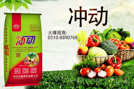 ̙C(j)Aӱ̽ɹs1988.TV(chung)죡