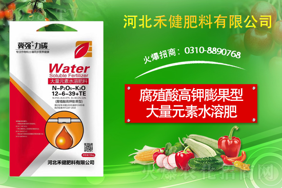 ̙C(j)Aӱ̽ɹs1988.TV(chung)