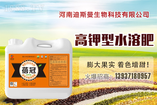 ϵ˹ٺ1988.TVyֹM(jn)Tx