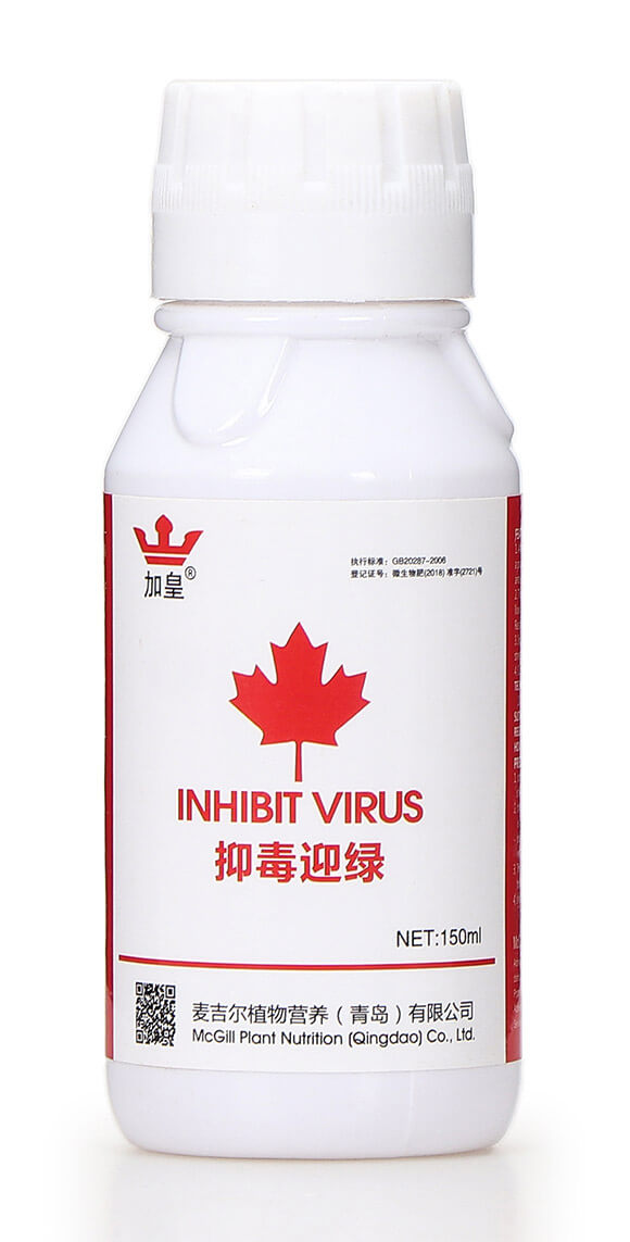 抑毒迎綠(專治病毒。 綠肥5