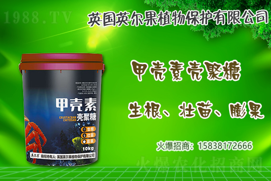 2021年4月26日小麥價格行情一覽