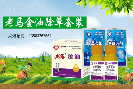 2021年5月1日肟菌戊唑醇?xì)⒕鷦﹥r格走勢