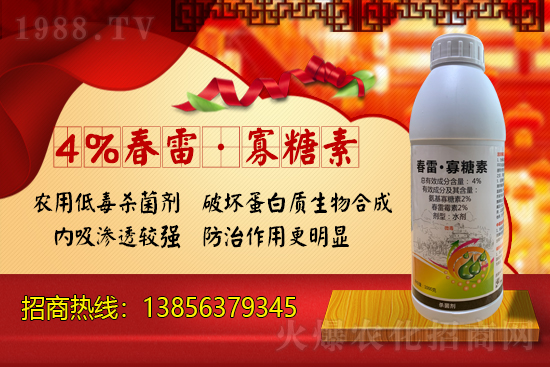 r(nng)W(wng)ϲӭyr(nng)I(y)֮ؔ·