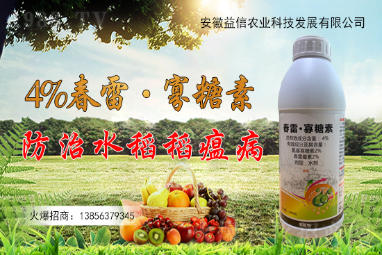 r(nng)W(wng)ϲӭyr(nng)I(y)֮ؔ·