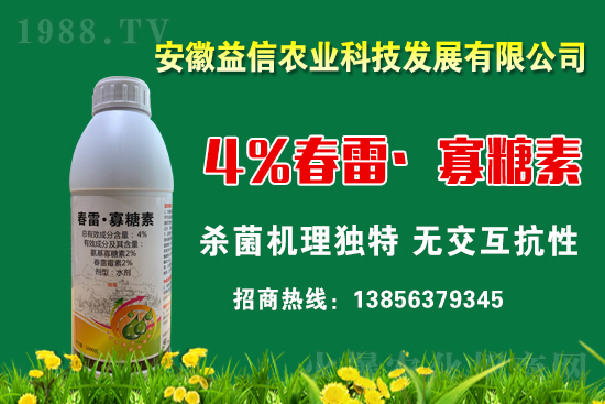 r(nng)W(wng)ϲӭyr(nng)I(y)֮ؔ·