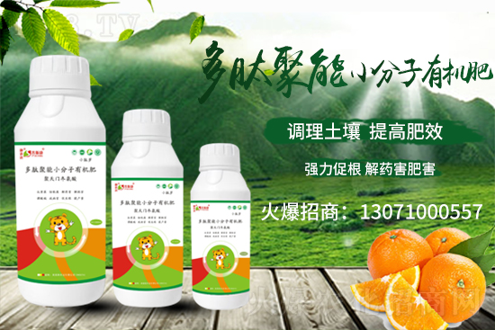 戰(zhàn)略合作再升級(jí),普斯康肥業(yè)攜手1988.TV再創(chuàng)輝煌!