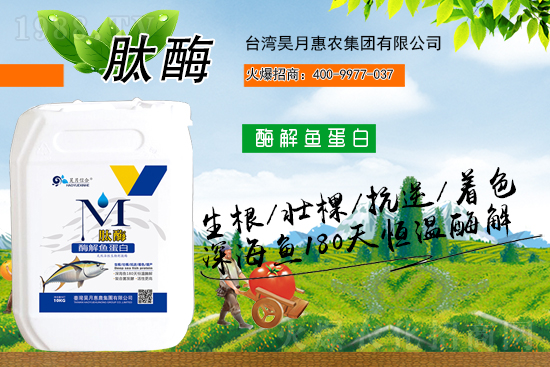 yֹM(jn)Txͣ»r(nng)sr(nng)W(wng)A2021