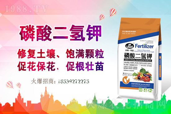 P(gun)ϵAmr(nng)I(y)c1988.TV_ƪ£