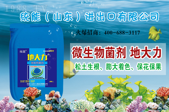 ɽ|y(tng)ٺ1988.TVyִE