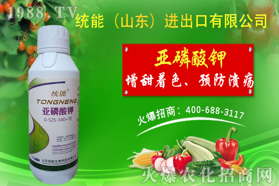 ɽ|y(tng)ٺ1988.TVyִE