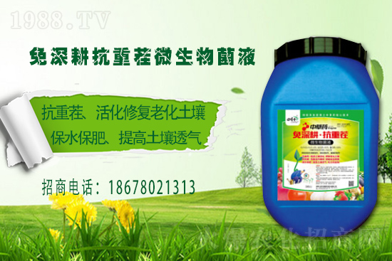 P(gun)ϵAﲩʿF(tun)m(x)s1988.TV\°l(f)չ