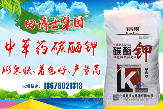 P(gun)ϵAﲩʿF(tun)m(x)s1988.TV\°l(f)չ