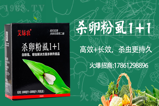     r(nng)I(y)ٶȔy1988.TVyֹ(chung)(zhn)(j)