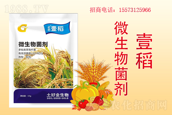 P(gun)ϵAýٺ1988.TV(chung)x