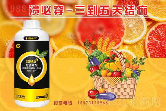 P(gun)ϵAýٺ1988.TV(chung)xͣ