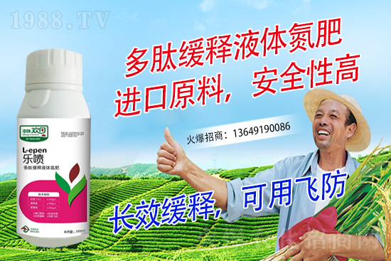 r(nng)yr(nng)W(wng)W(wng)j·