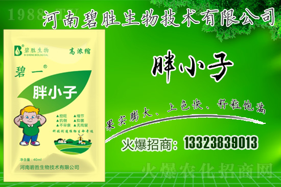 r(nng)W(wng)ϲӭȳֱﹲ֮ؔ·