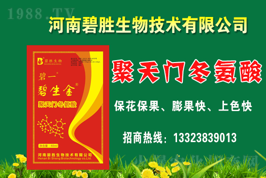 r(nng)W(wng)ϲӭȳֱﹲ֮ؔ·