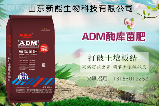 ףRٺ1988.TV_W(wng)j(lu)ģʽ