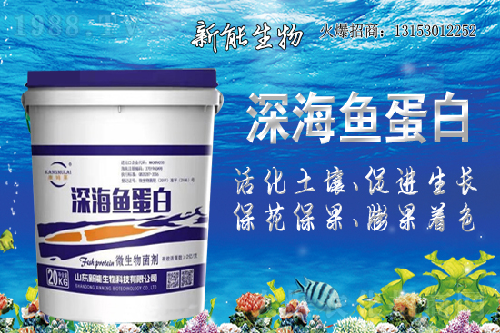 ףRٺ1988.TV_W(wng)j(lu)ģʽ