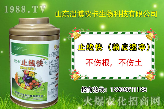 Wٺ1988.TV(sh)F(xin)I(y)vw(mng)