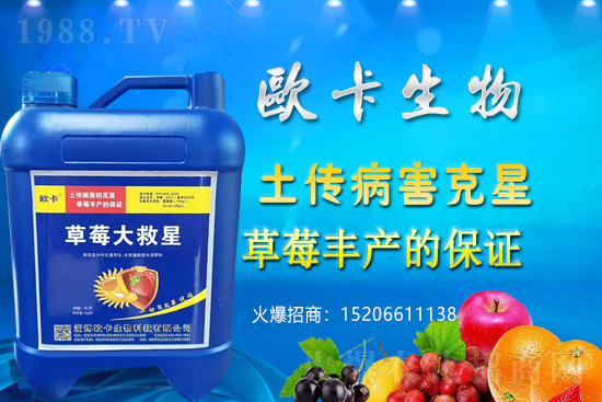 Wٺ1988.TV(sh)F(xin)I(y)vw(mng)