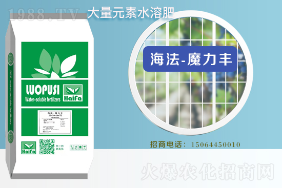 r(nng)W(wng)ϲӭyZ˹ؔ(ci)֮·