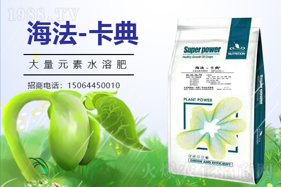 r(nng)W(wng)ϲӭyZ˹ؔ(ci)֮·