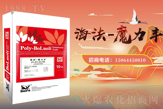 r(nng)W(wng)ϲӭѣyZ˹ؔ(ci)֮·