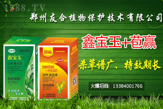 2021.5.29花生除草劑價格行情