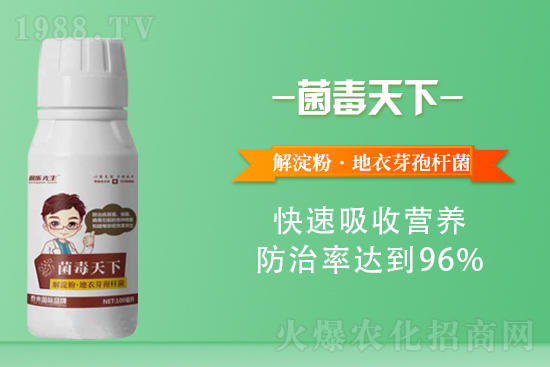 2021年6月17日國內(nèi)花生價(jià)格行情