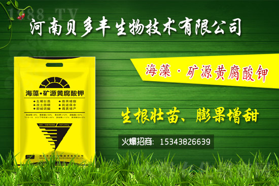 SԭȱF᣿Sʩ၆Fô