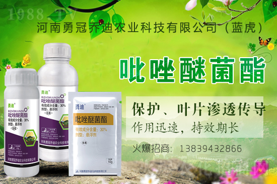 合作升級,勇冠喬迪(藍虎)再簽1988.TV,共創(chuàng)新輝煌!