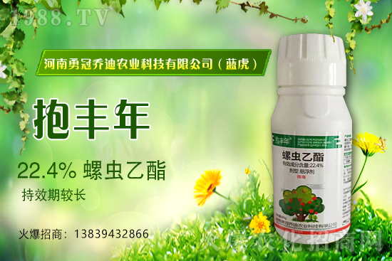 合作升級,勇冠喬迪(藍虎)再簽1988.TV,共創(chuàng)新輝煌!