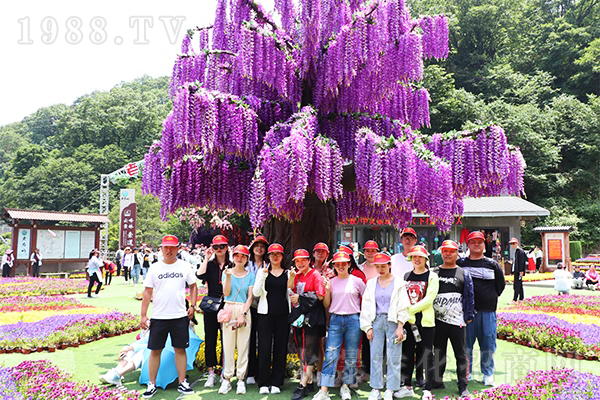 𱬾W(wng)ϾɽЇ(gu)W(xu)(jng)