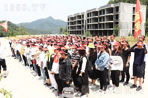 找不到方向的時候,就去尋根