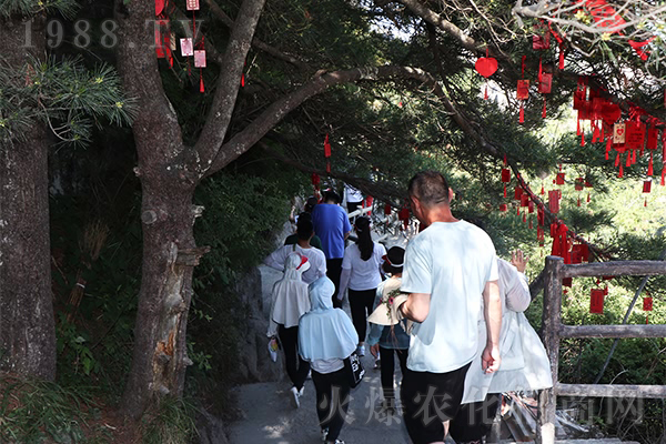 領(lǐng)略山川 品悟文化