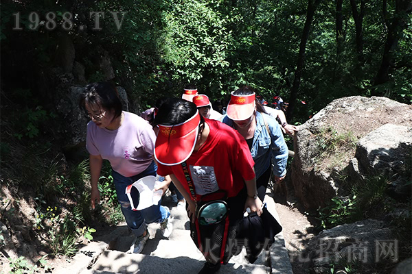 山水萬程,皆有好運