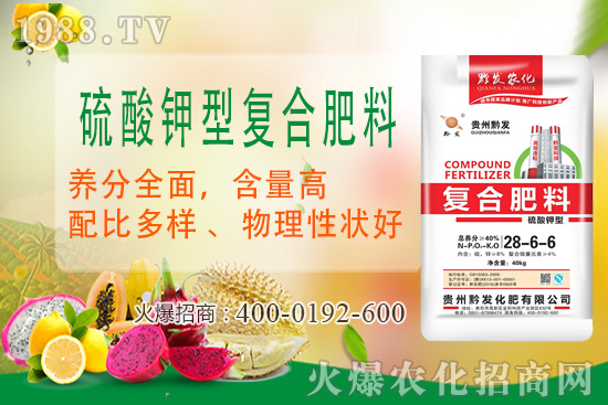 黔發(fā)肥業(yè)再度攜手1988.TV,攜手打造招商奇跡!