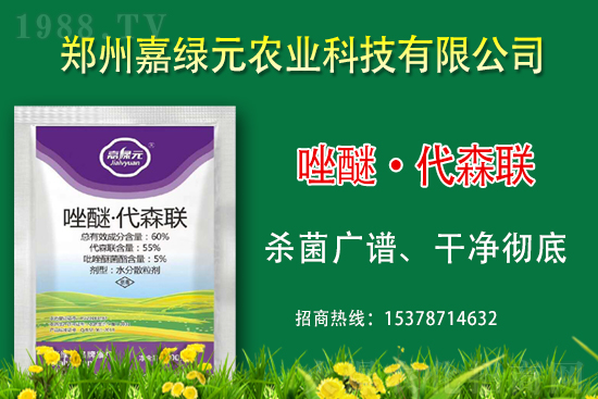 ξGԪr(nng)I(y)ٺ1988.TV(chung)x