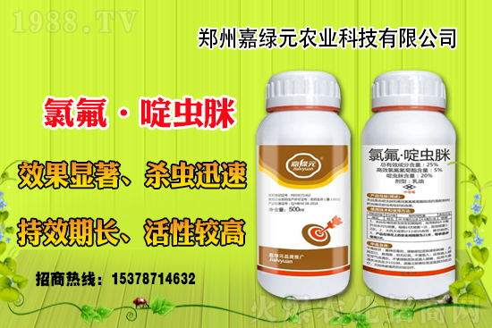 ξGԪr(nng)I(y)ٺ1988.TV(chung)x