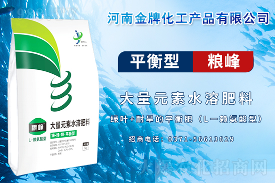 攜手同行,共謀發(fā)展!恭喜金牌化工再簽1988.TV!