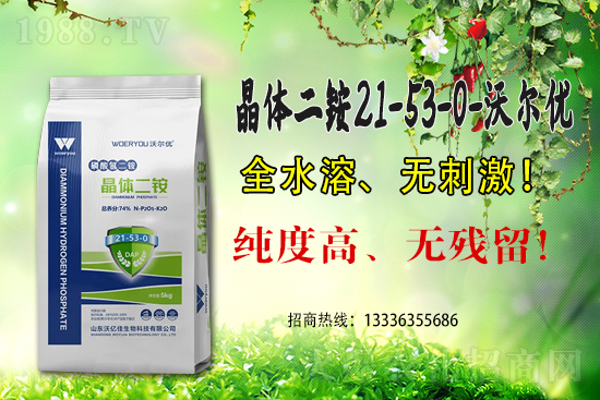 近期磷銨價(jià)格行情日報(bào)2021年6月5日