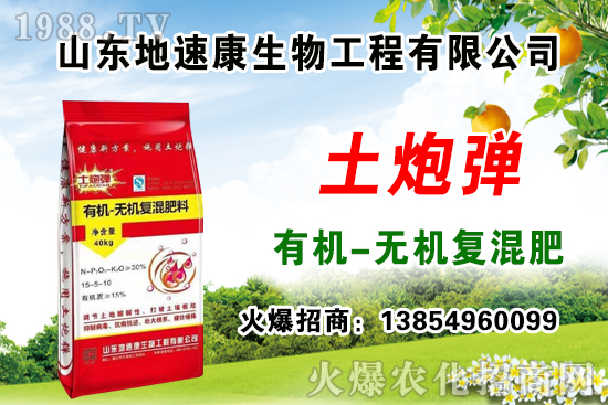 合作關(guān)系再升華,山東地速康與1988.TV開啟新篇章!